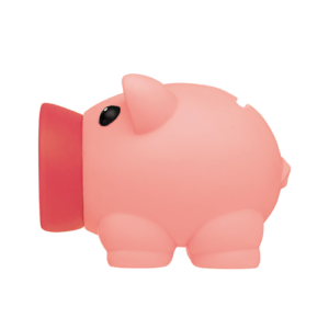 Spaarvarken-bfl SPAARVARKEN